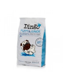 Dingo puppy daily 12 kg.