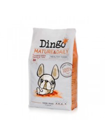 Dingo mature daily 12 kg.