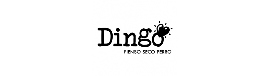 Dingo