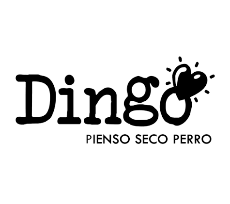 Dingo 